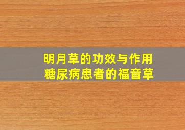 明月草的功效与作用 糖尿病患者的福音草